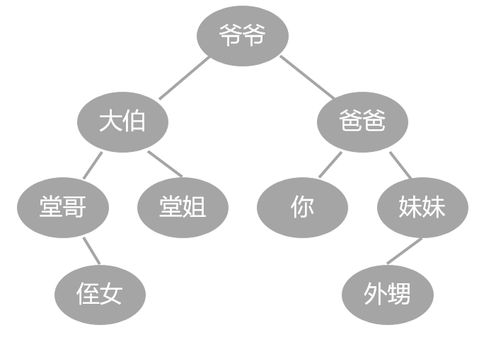 数据结构-树-家谱树